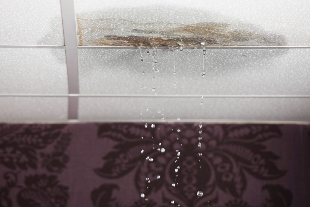 leak in ceiling