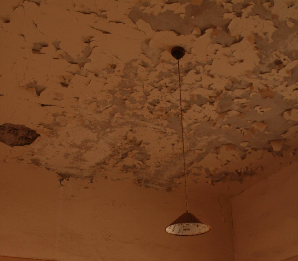 Water Damage in Ceiling Repair